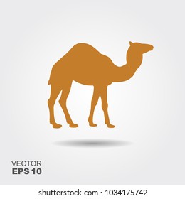 Camel silhouette vector illustration. Flat icon with shadow