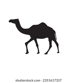 Camel silhouette Vector illustration isolated on white 