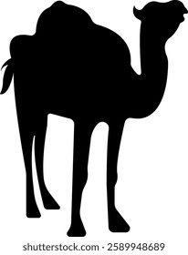 Camel Silhouette Vector Illustration Set