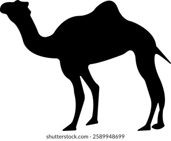 Camel Silhouette Vector Illustration Set