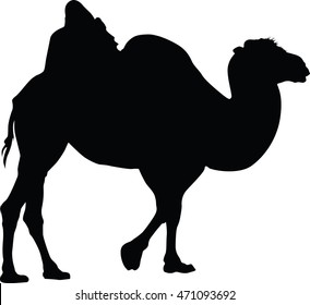 Camel Silhouette Vector Image Illustration Isolated Stock Vector ...