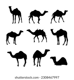 Camel silhouette vector isolated on white background.