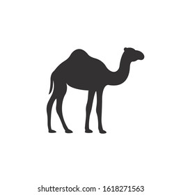 Camel silhouette vector on a white background