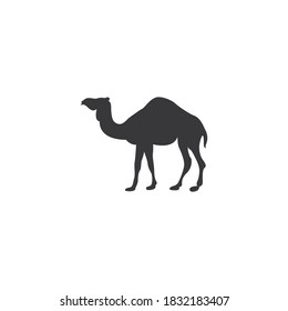 Camel silhouette vector on a white background