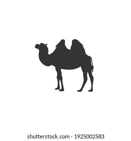 Camel silhouette vector on a white background