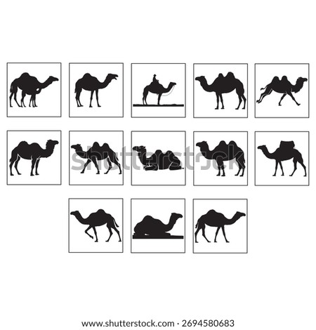 Camel Silhouette Vector Set | Arabian Desert Animal Silhouettes Collection