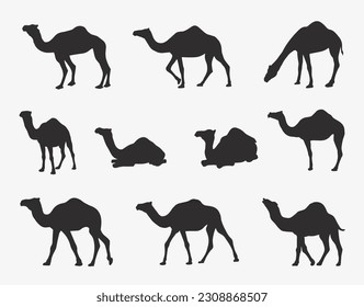 camel silhouette vector set design