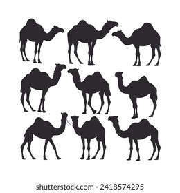 camel silhouette vector set design