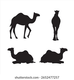 Camelo Silhueta Vetor Definido em Poses Diferentes | Ilustração do animal do deserto sobre fundo branco