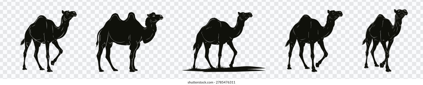 Camel silhouette vector set with five desert animal poses, ideal for wildlife icons, safari graphics, travel designs, stickers, decals, logos, and outdoor adventure projects.