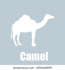 Camel silhouette vectoriel for educational purpose