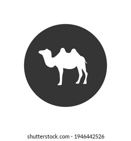 Camel silhouette white icon vector illustration isolated on white background