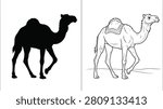 Camel Silhouettes in Black Solid and Outline Versions, Showcasing Desert Animal Forms.