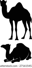 Camel silhouettes in different poses