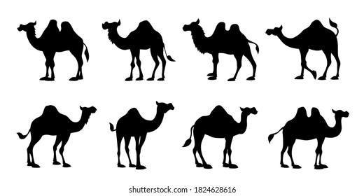 camel silhouettes on white background