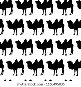 camel silhouettes, seamless pattern, vector illustration