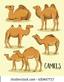 Camel Silhouettes set