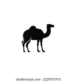 Camel simple flat icon vector