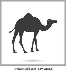 Camel simple icon for web and mobile design