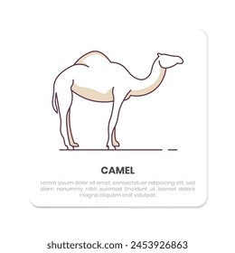 camel simple vector illustration design