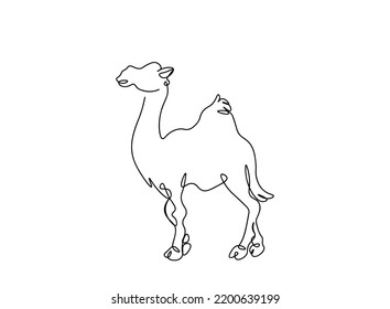Camel single line art drawing, continues line vector illustration