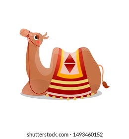 Camel sitting with a saddle. Raster illustration in flat cartoon style on white background.