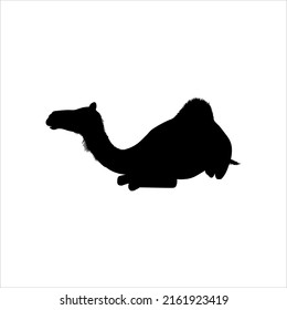 Camel (Sitting) Silhouette for Logo or Graphic Design Element, Vector Illustration