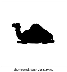 Camel (Sitting) Silhouette for Logo or Graphic Design Element, Vector Illustration