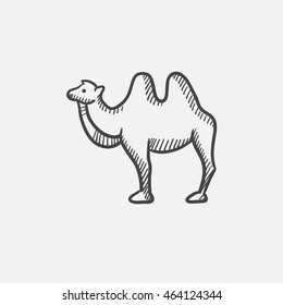 Camel sketch icon for web, mobile and infographics. Hand drawn vector isolated icon.