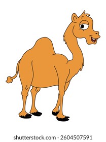 Camel smiling isolated on white background