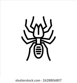 ícone de contorno de aranha de camelo. ilustração de linha preta de aranha de camelo.