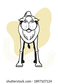 Camel stands in the desert, front view. Vector isolated on a white background.