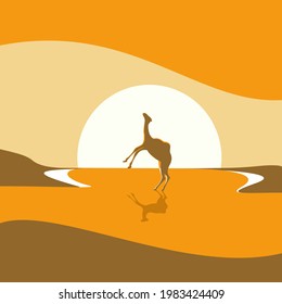 A camel stands in the desert at sunset. Vector illustration.