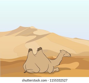 camel stands in the desert, vector, camel stands in the desert