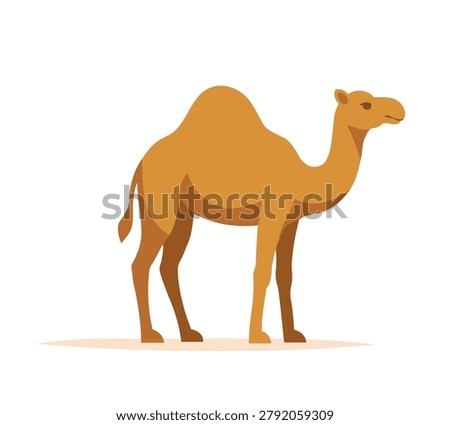 A camel stands peacefully flat style isolated on a white background	
