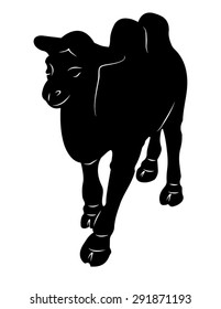 Camel stylized vector illustration icon silhouette