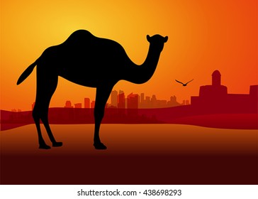 camel in sunset desert