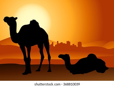 camel in sunset desert isolated
