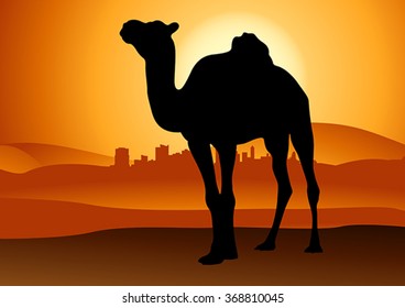 camel in sunset desert isolated
