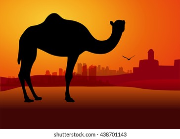 camel in sunset desert, vector