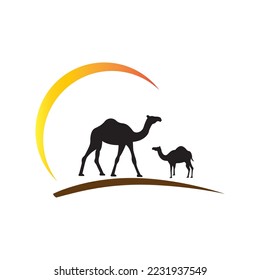 camel with sunset in the desert vector illustration design