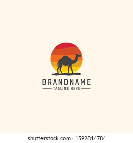 Camel and sunset logo design template vector illustration