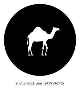 A camel symbol in the center. Isolated white symbol in black circle. Vector illustration on white background
