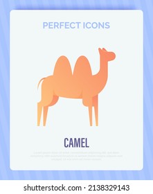 Camel thin line icon. Vector illustration.