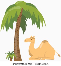 camel in trees in desert