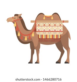 Camel, Two Humped Desert Animal with Bridle and Saddle Decorated with Ethnic Ornament Vector Illustration