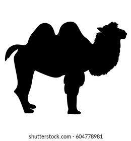 Camel two humped  smiling cartoon  Vector illustration