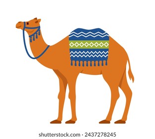 Camel. Two-humped desert animal with bridle and saddle. Vector illustration