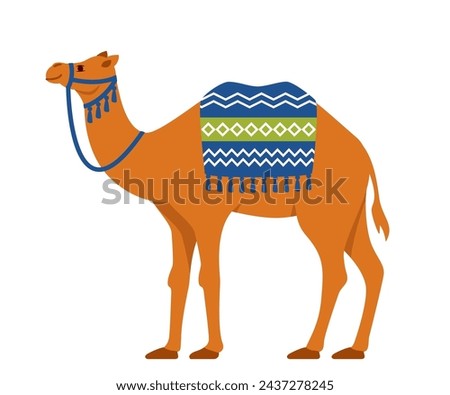 Camel. Two-humped desert animal with bridle and saddle. Vector illustration