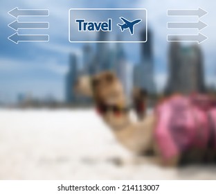 Camel at the urban background of Dubai. Vector Illustration.